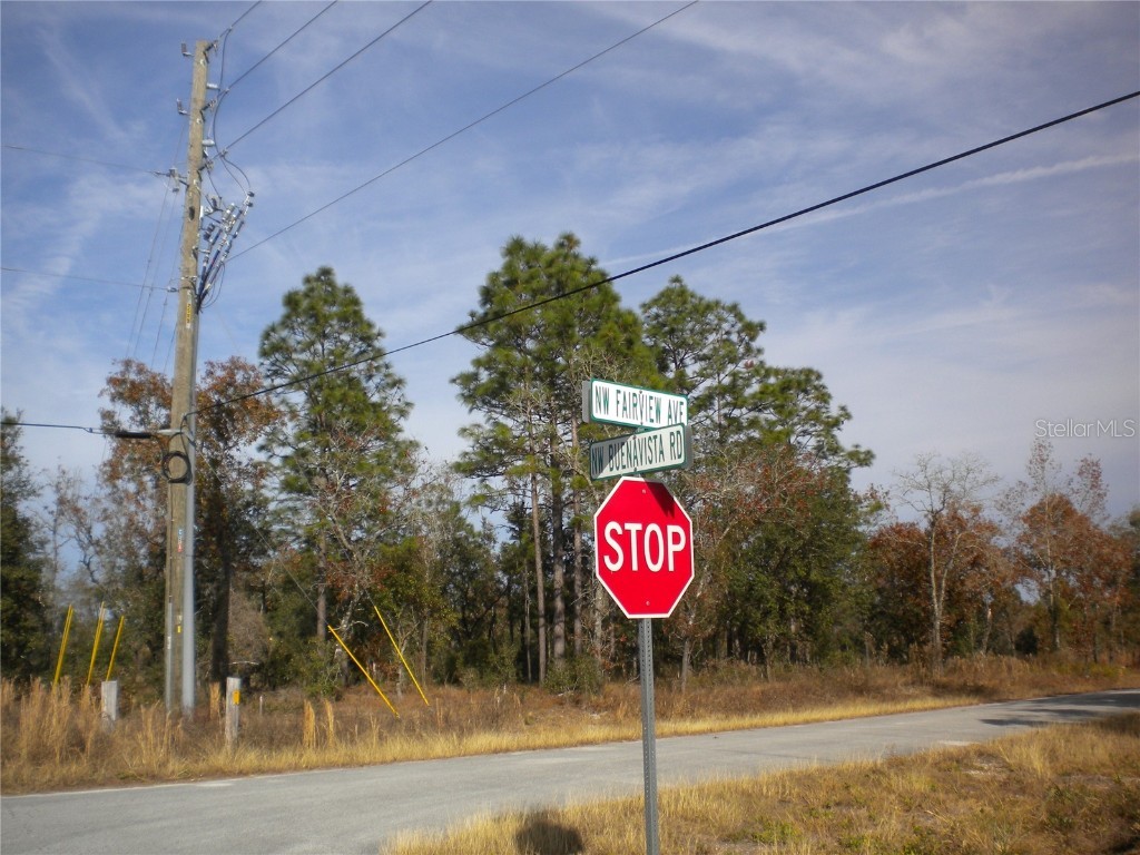 Blk 35 Lots 2526 NW Buena Vista Road Dunnellon FL 34431 - TIGER. BONABLE LITTLE BONABLE OM690960 image10