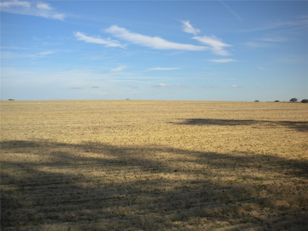 Blk 35 Lots 2526 NW Buena Vista Road Dunnellon FL 34431 - TIGER. BONABLE LITTLE BONABLE OM690960 image12