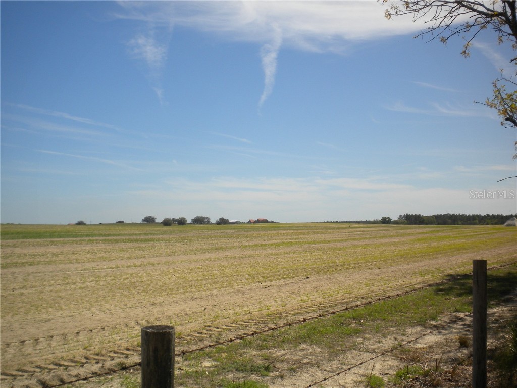 Blk 35 Lots 2526 NW Buena Vista Road Dunnellon FL 34431 - TIGER. BONABLE LITTLE BONABLE OM690960 image13