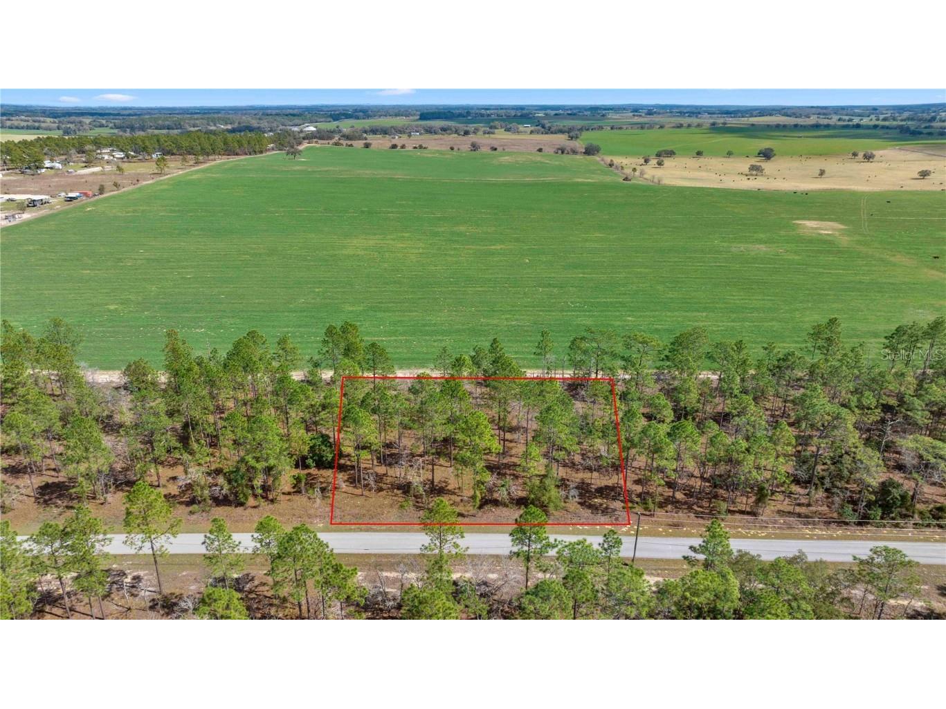 Blk 35 Lots 2526 NW Buena Vista Road Dunnellon FL 34431 - TIGER. BONABLE LITTLE BONABLE OM690960 image2