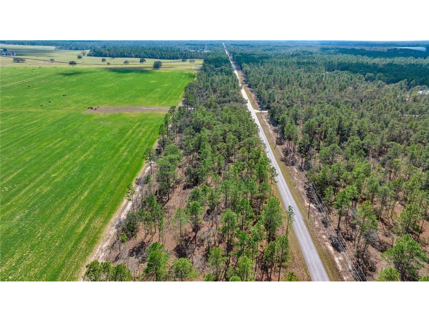 Blk 35 Lots 2526 NW Buena Vista Road Dunnellon FL 34431 - TIGER. BONABLE LITTLE BONABLE OM690960 image8