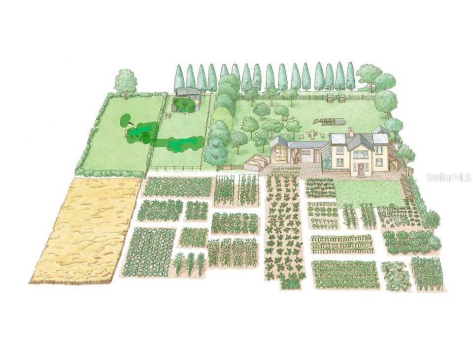 Blk 35 Lots 2526 NW Buena Vista Road Dunnellon FL 34431 - TIGER. BONABLE LITTLE BONABLE OM690960 image9