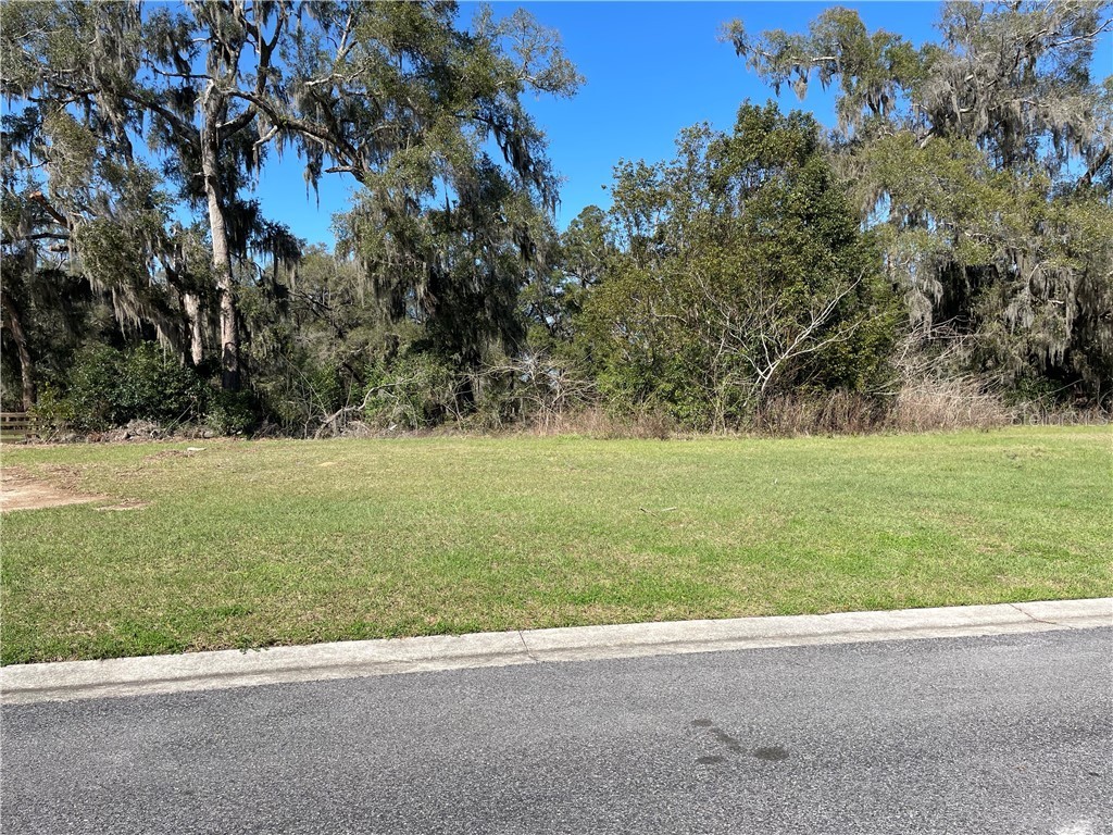 Blk G Lot 5 Ocala FL 34475 OM615197 image1