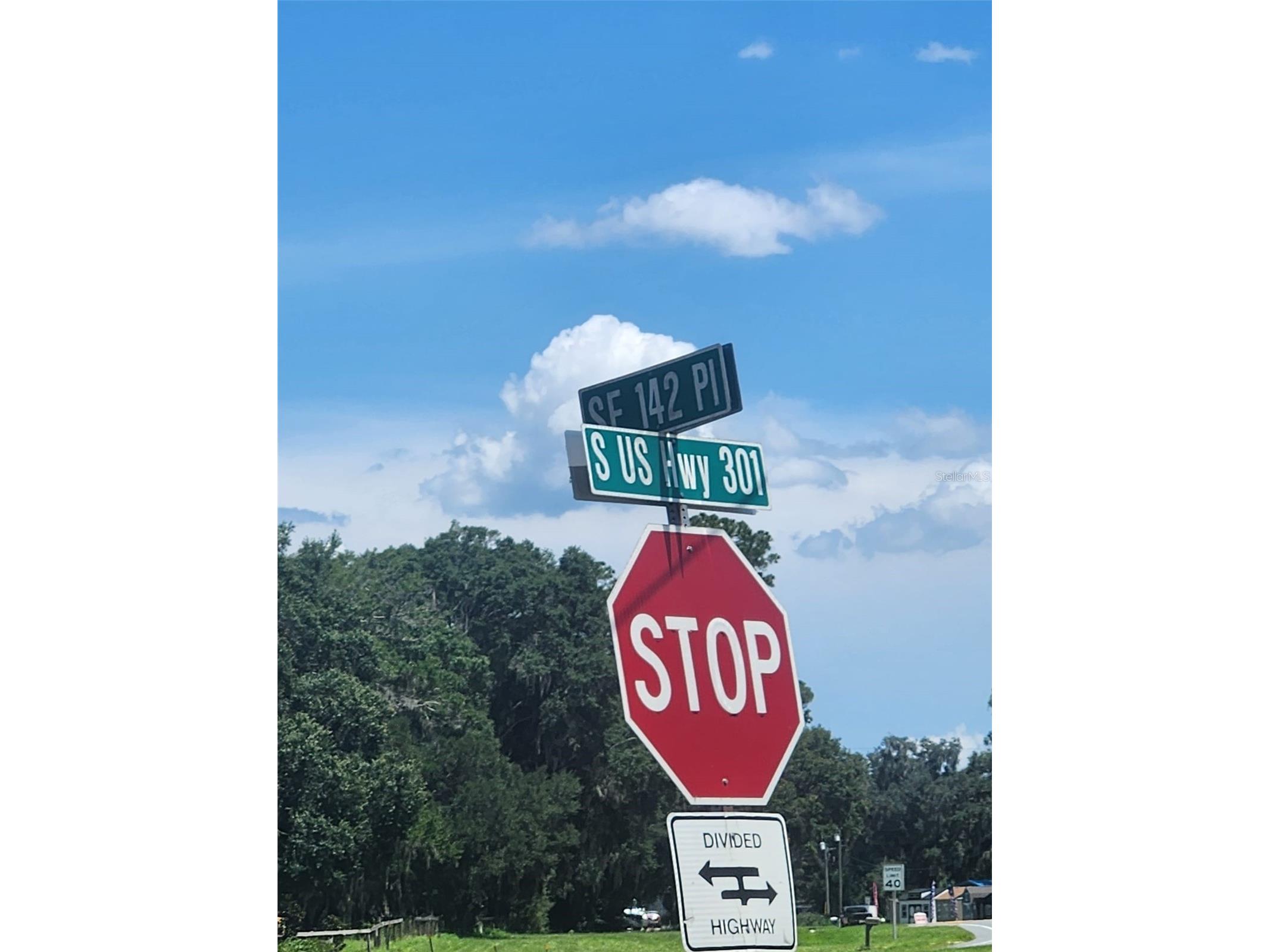 Corner SE 142nd Place & S Us Hwy-301 Summerfield FL 34491 TB8395981 image10