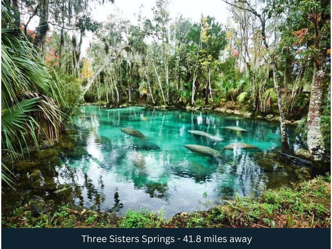 Corner SE 142nd Place & S Us Hwy-301 Summerfield FL 34491 TB8395981 image17