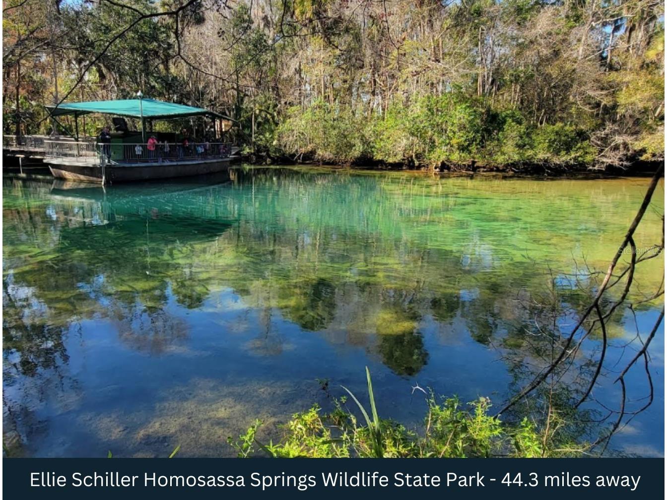 Corner SE 142nd Place & S Us Hwy-301 Summerfield FL 34491 TB8395981 image23