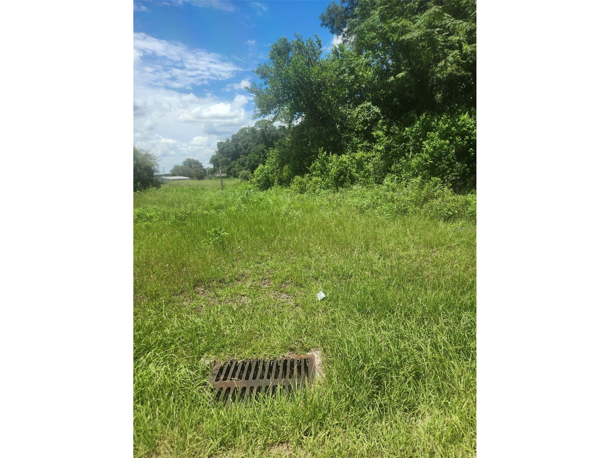 Corner SE 142nd Place & S Us Hwy-301 Summerfield FL 34491 TB8395981 image8