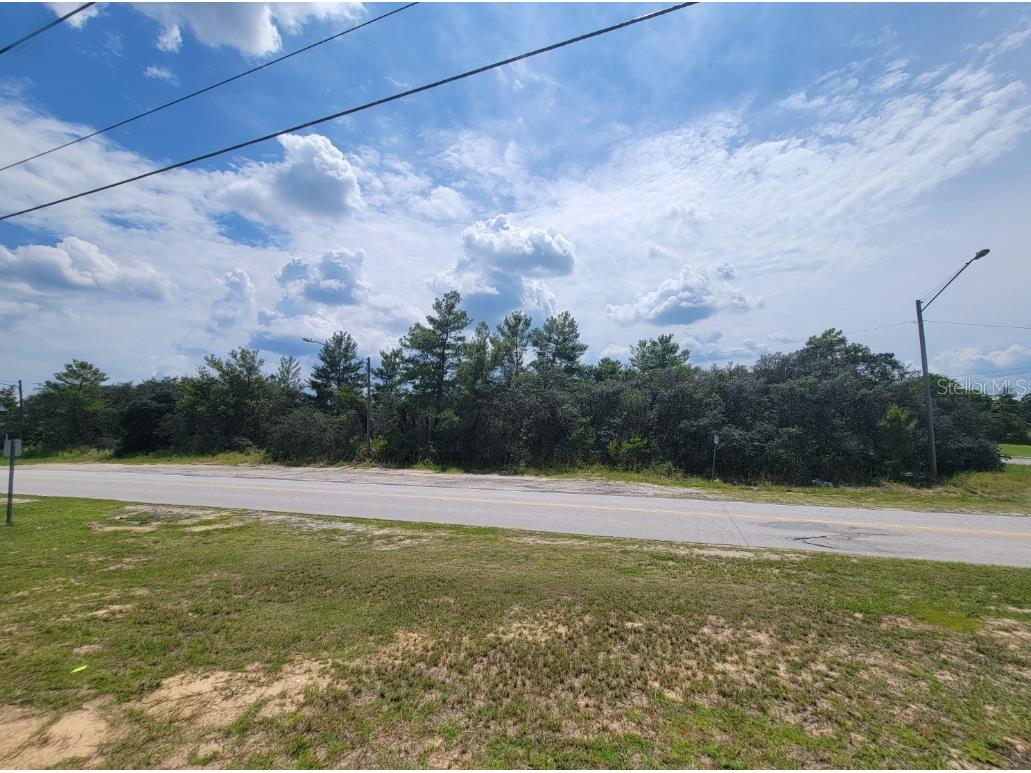 Corner of Oak and Cypress Road Ocala FL 34472 OM708040 image2