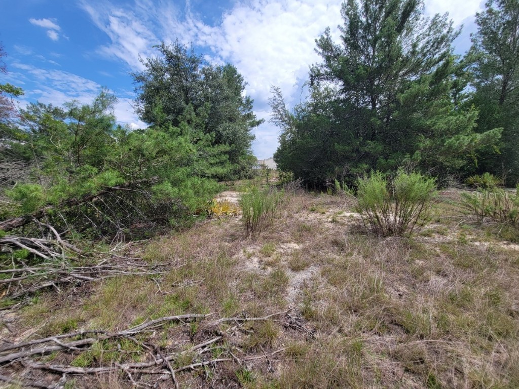 Corner of Oak and Cypress Road Ocala FL 34472 OM708040 image3