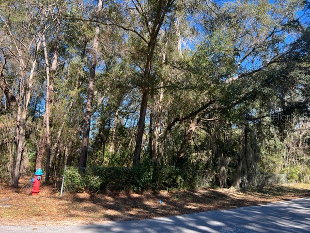 Corner of SE 43 Ave And 5 St Ocala FL 34471 OM651673 image1