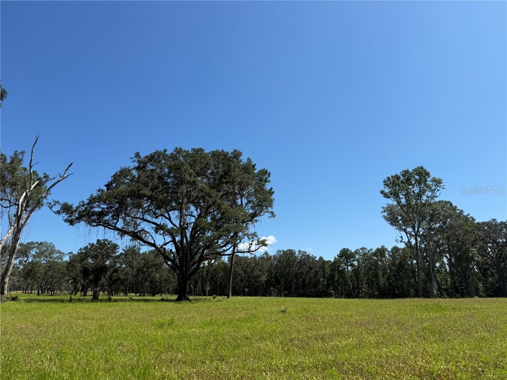 DO #6 (24ac) NW 193rd St Micanopy FL 32667 OM715404 image1