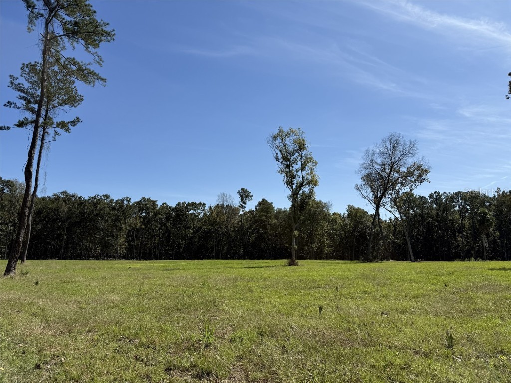 DO #6 (24ac) NW 193rd St Micanopy FL 32667 OM715404 image11