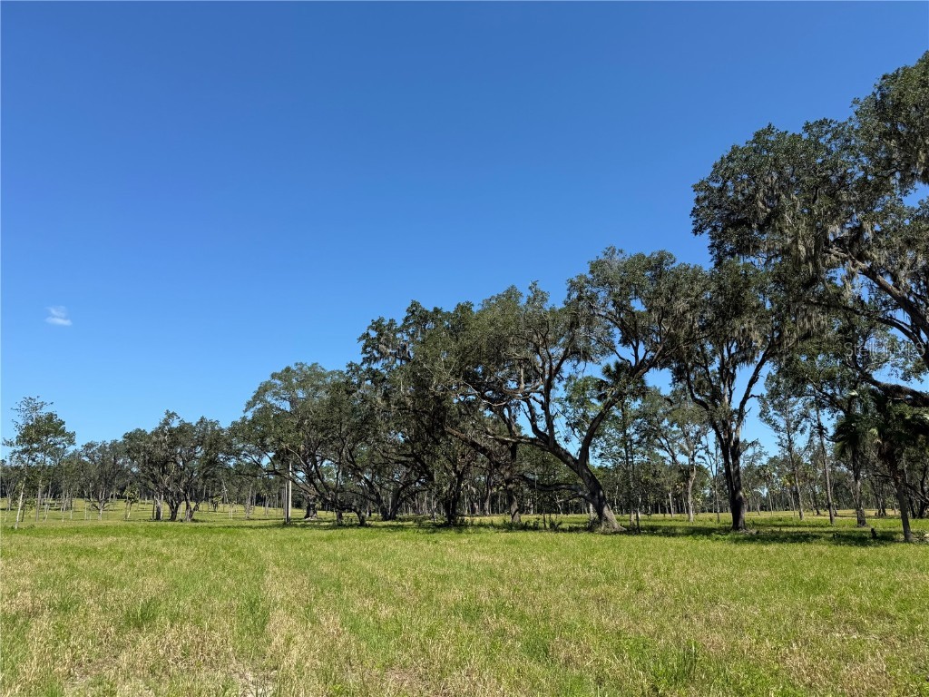 DO #6 (24ac) NW 193rd St Micanopy FL 32667 OM715404 image3