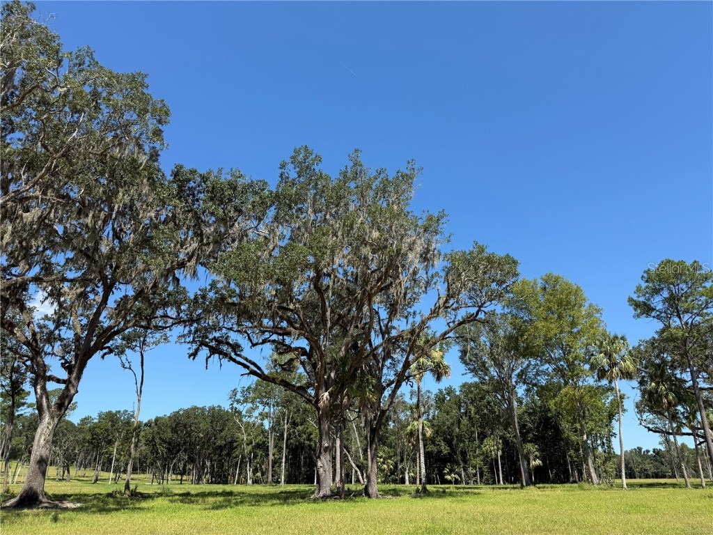 DO #6 (24ac) NW 193rd St Micanopy FL 32667 OM715404 image4