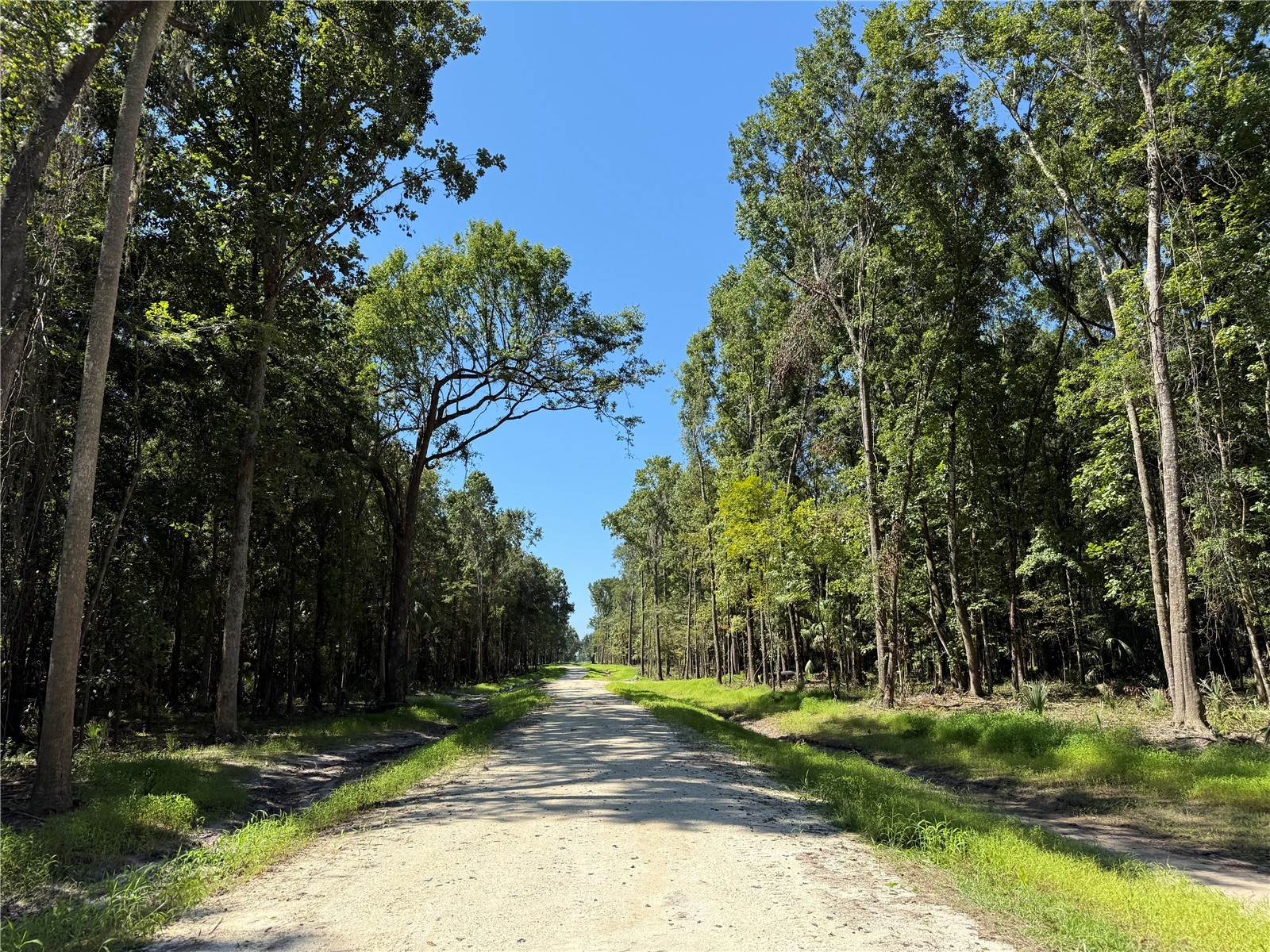 DR #3 (10ac) NW 193rd St Micanopy FL 32667 OM717568 image2