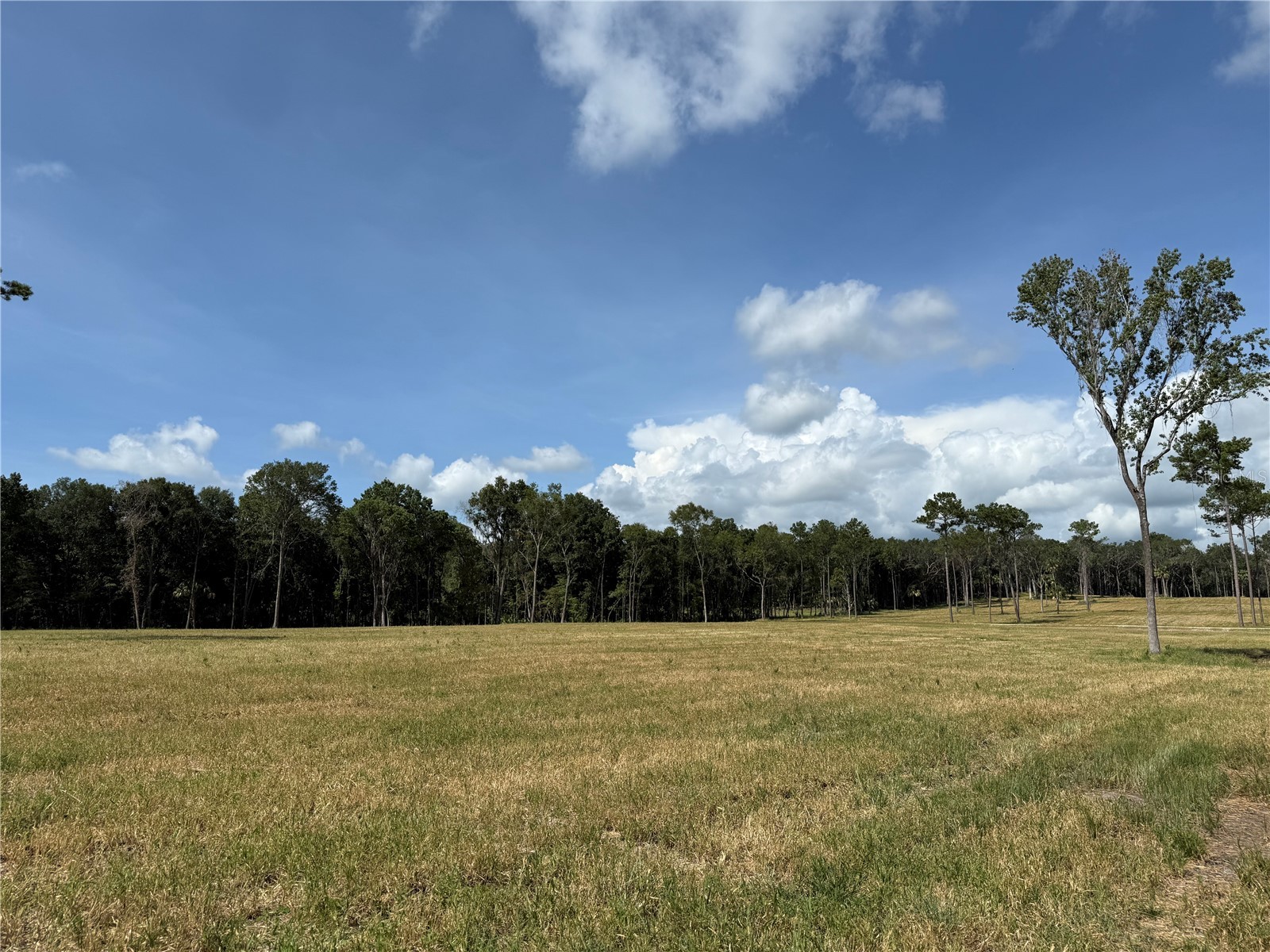 DR #3 (10ac) NW 193rd St Micanopy FL 32667 OM717568 image3
