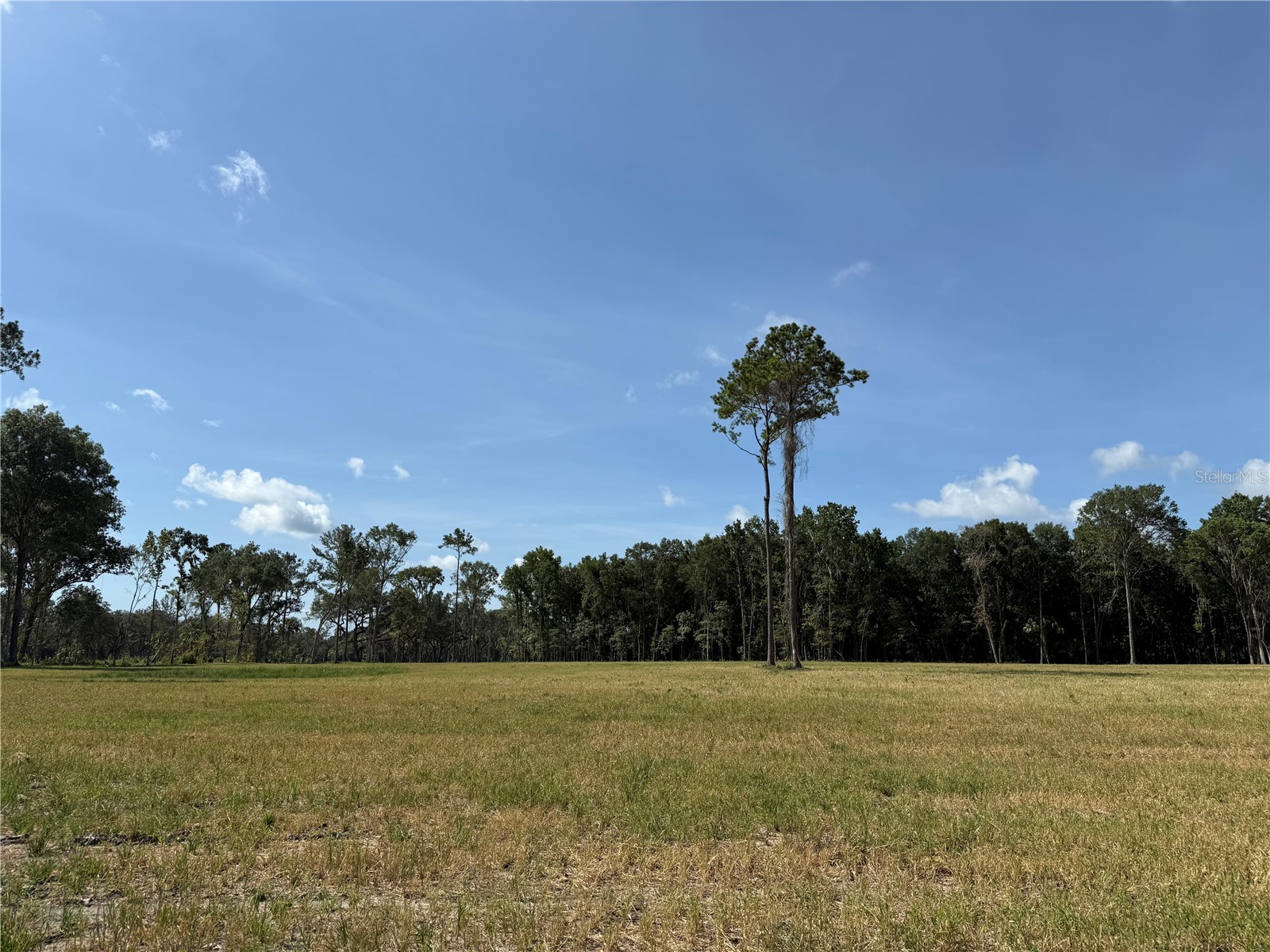 DR #3 (10ac) NW 193rd St Micanopy FL 32667 OM717568 image4