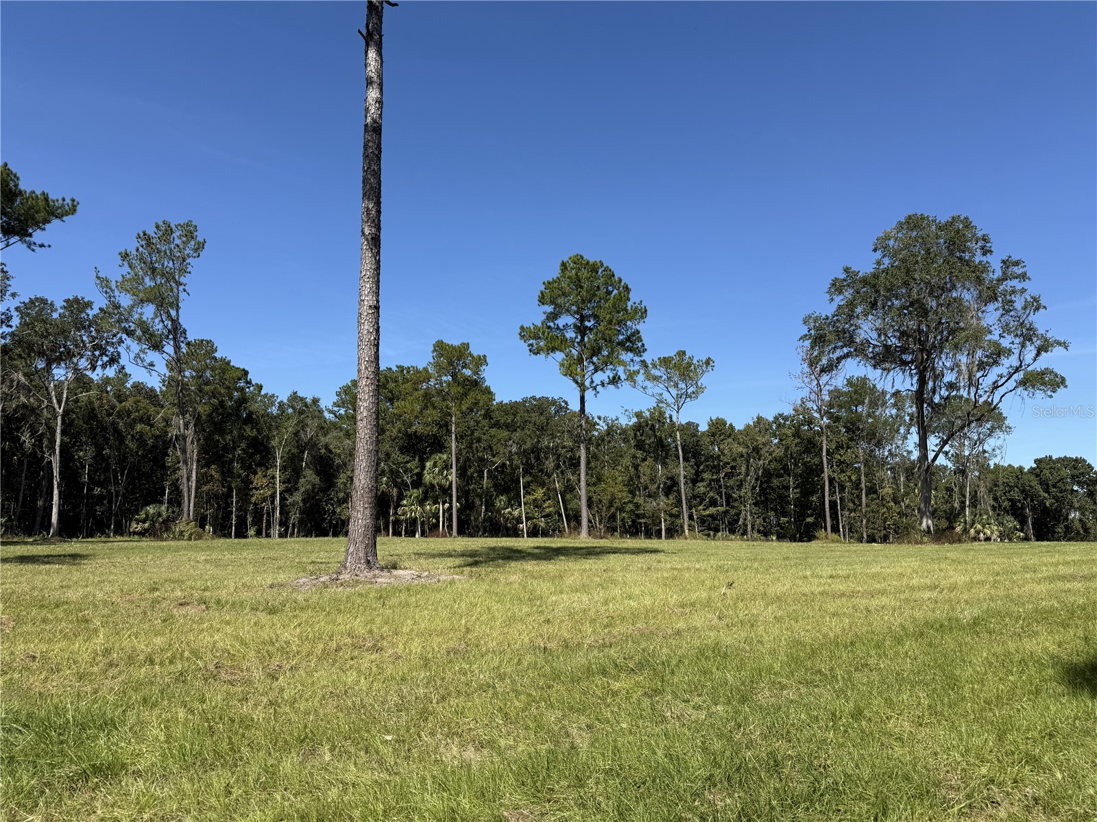 DR #3 (10ac) NW 193rd St Micanopy FL 32667 OM717568 image5