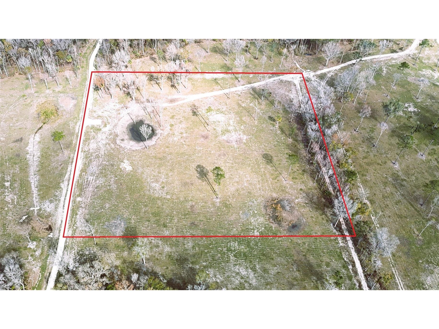 DR #3 (10ac) NW 193rd St Micanopy FL 32667 OM717568 image7