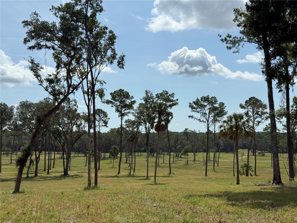 DR #5 (24ac) NW 193rd St Micanopy FL 32667 OM711263 image7