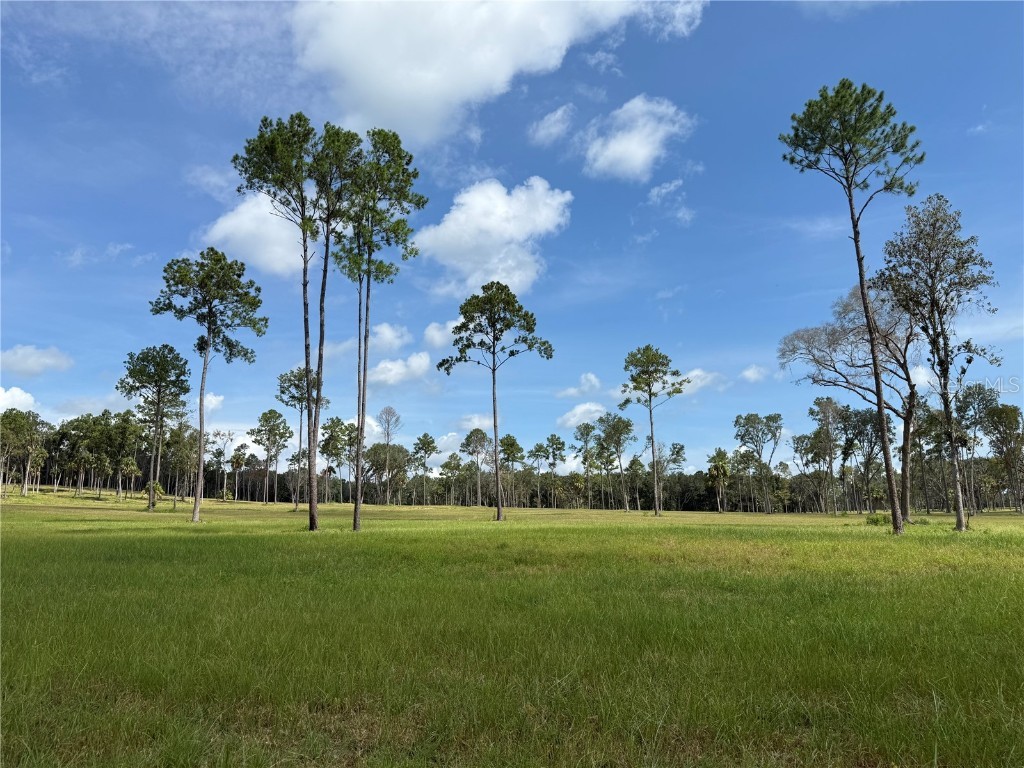 DR #5 (24ac) NW 193rd St Micanopy FL 32667 OM711263 image8