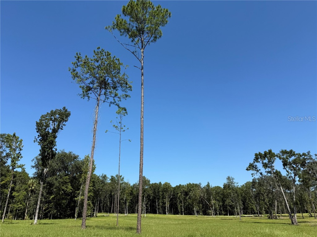 DR #7 (10ac) NW 193rd St Micanopy FL 32667 OM714729 image3