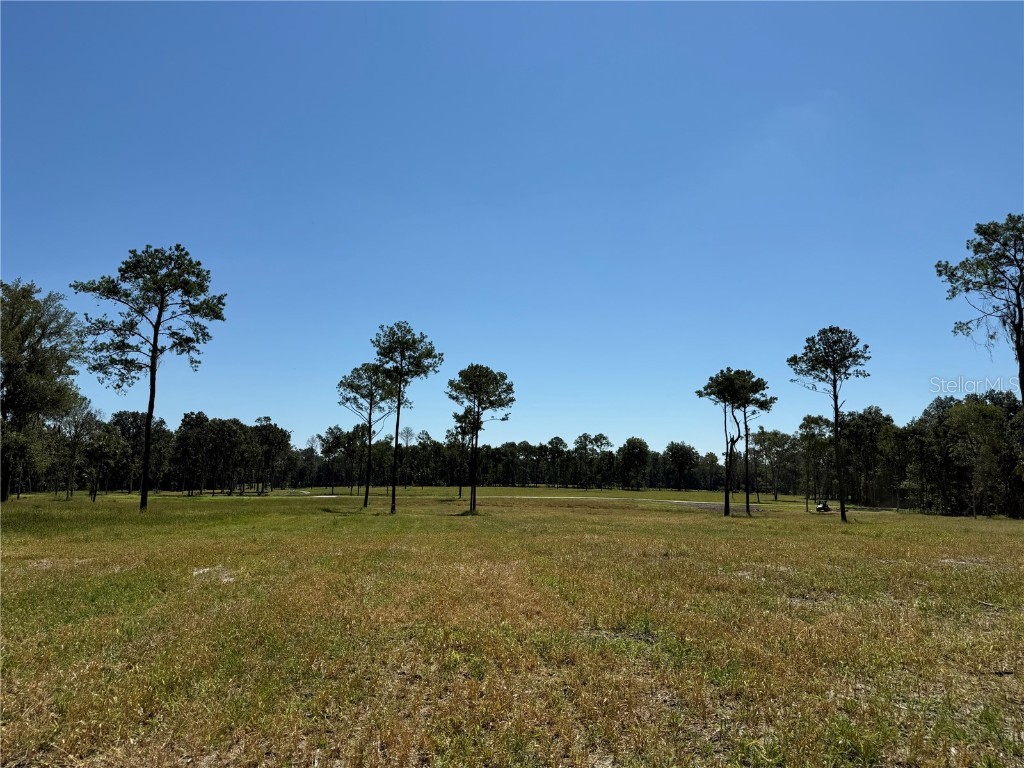 DR #8 (10ac) NW 193rd St Micanopy FL 32667 OM713720 image1