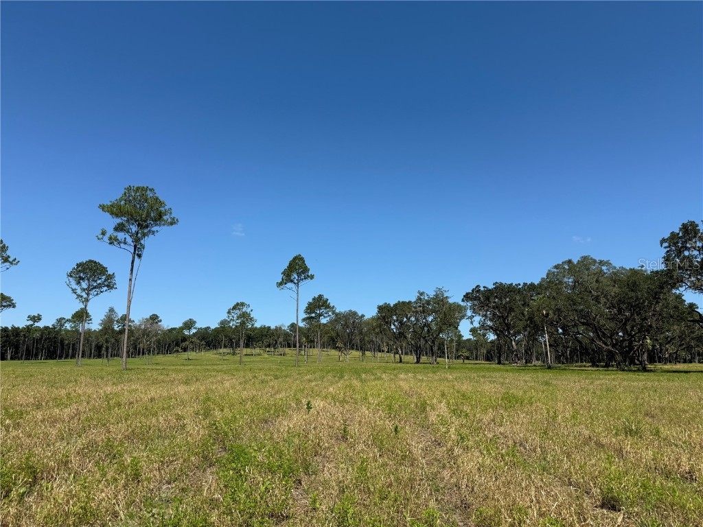 DR #8 (10ac) NW 193rd St Micanopy FL 32667 OM713720 image4