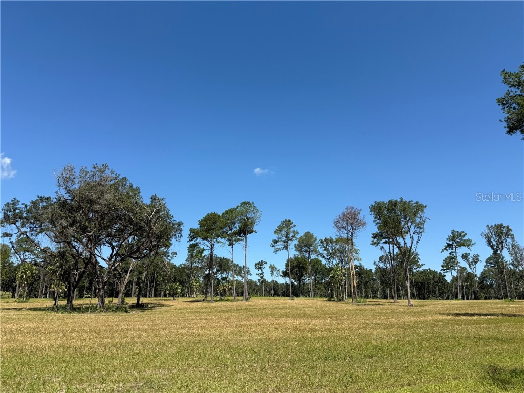 DR #8 (10ac) NW 193rd St Micanopy FL 32667 OM713720 image5