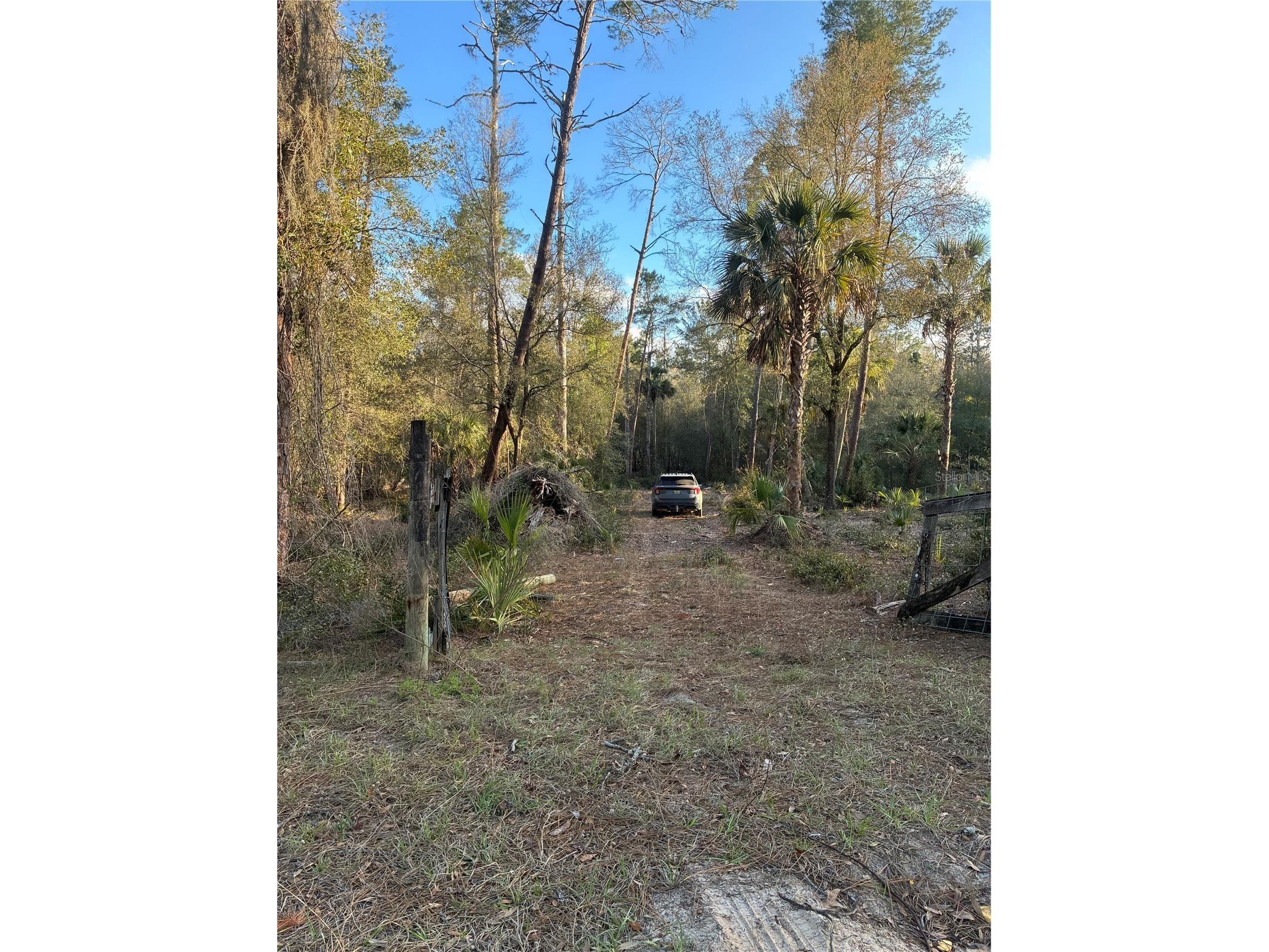 G58 Old Deer Road Paisley FL 32767 G5109598 image1