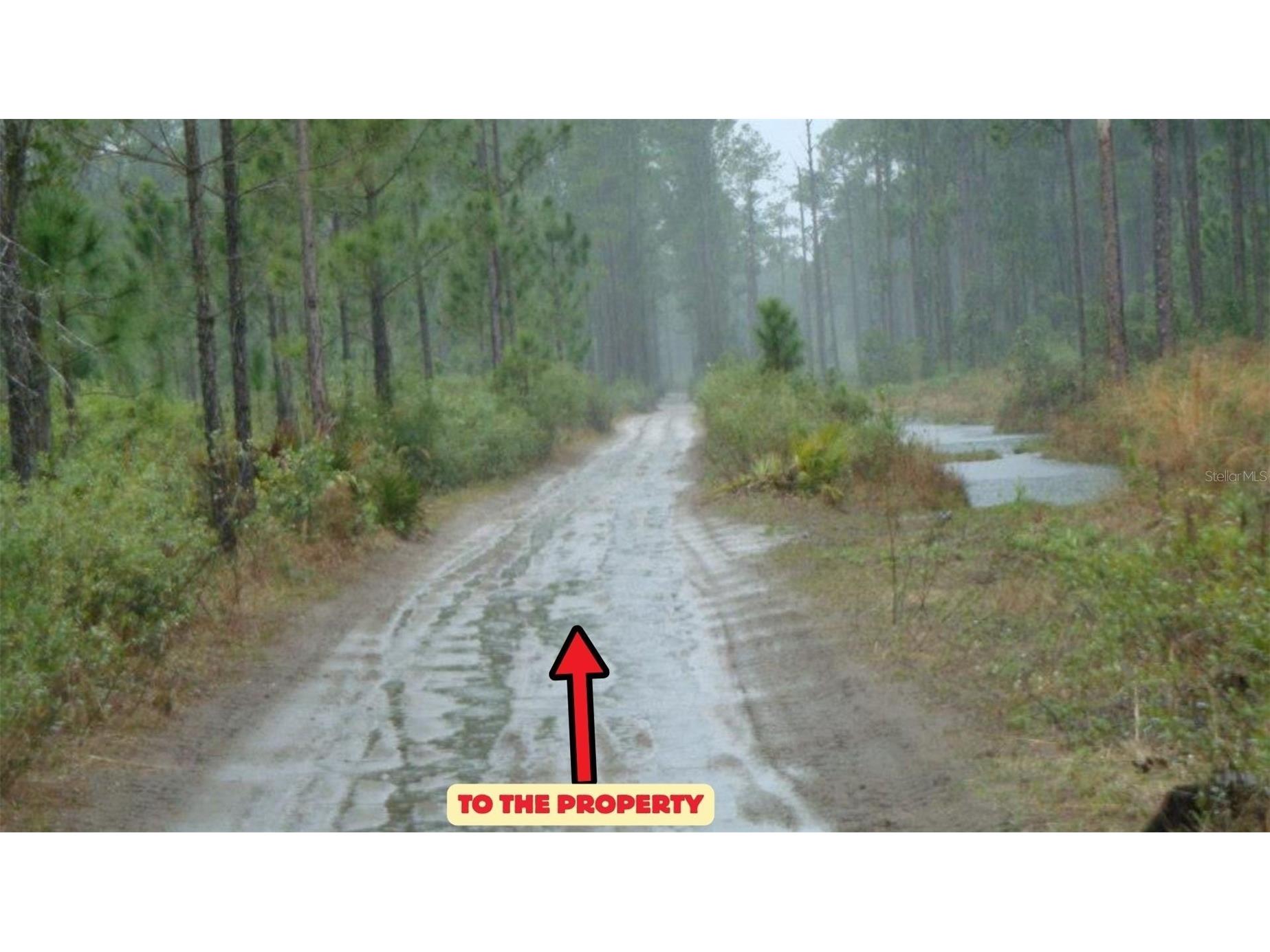 HWY 630 E Frostproof FL 33843 TB8473970 image1