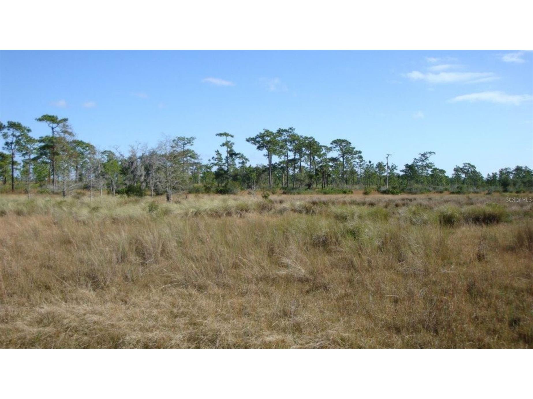 HWY 630 E Frostproof FL 33843 TB8473970 image6