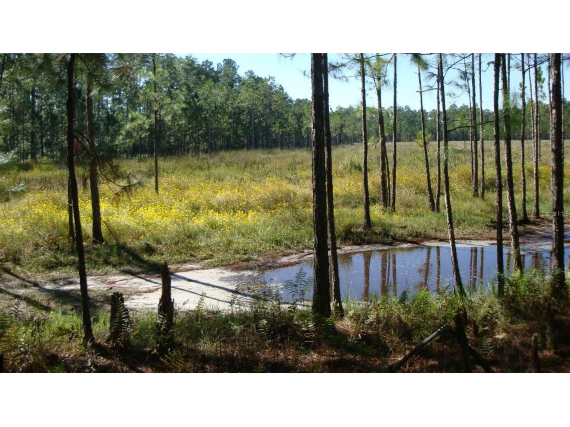 HWY 630 E Frostproof FL 33843 TB8473970 image9