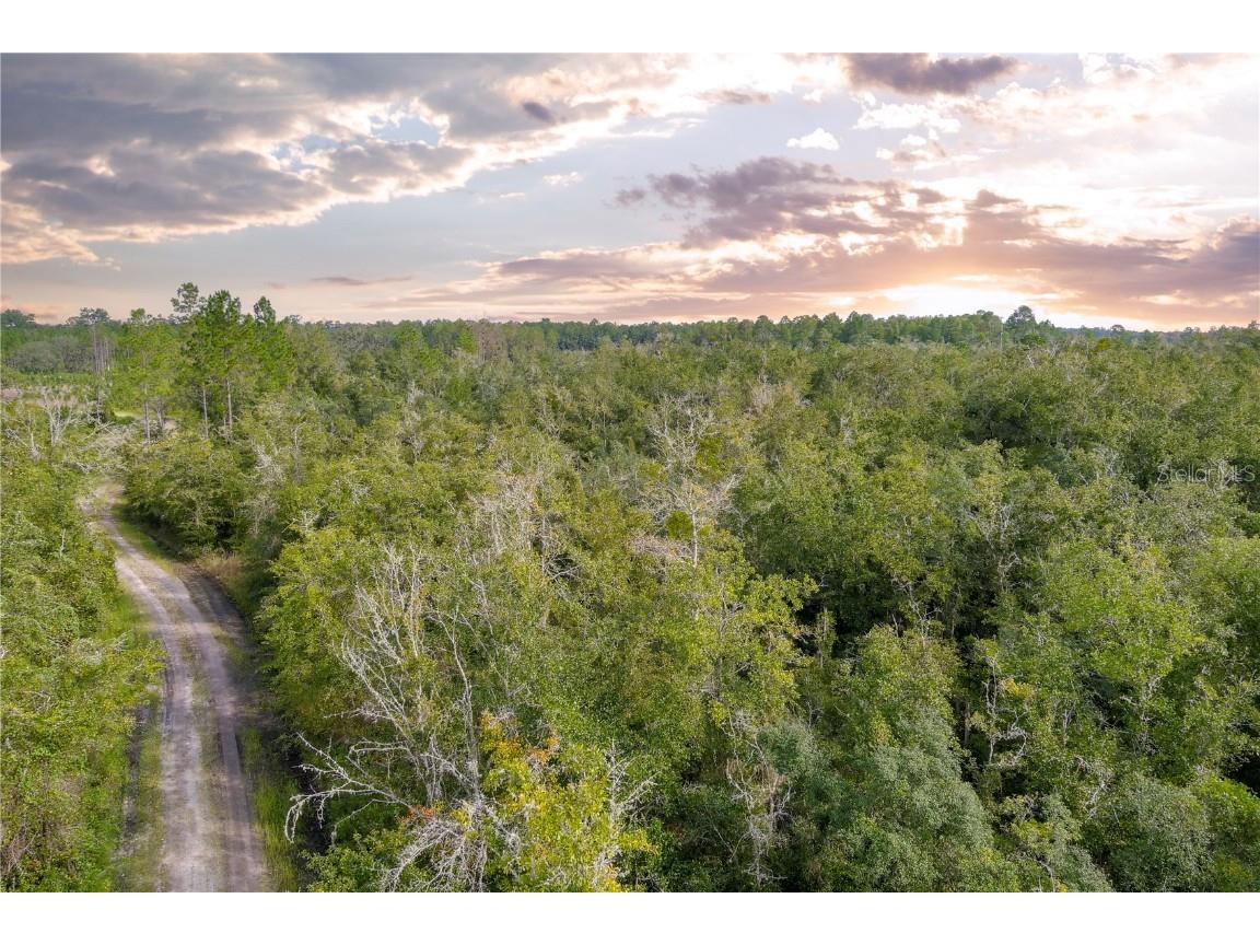 Highway 234 Gainesville FL 32641 GC508658 image1