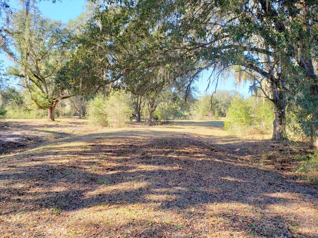 Hokkolen #2 NE Hwy 315 Fort Mc Coy FL 32134 OM668757 image1