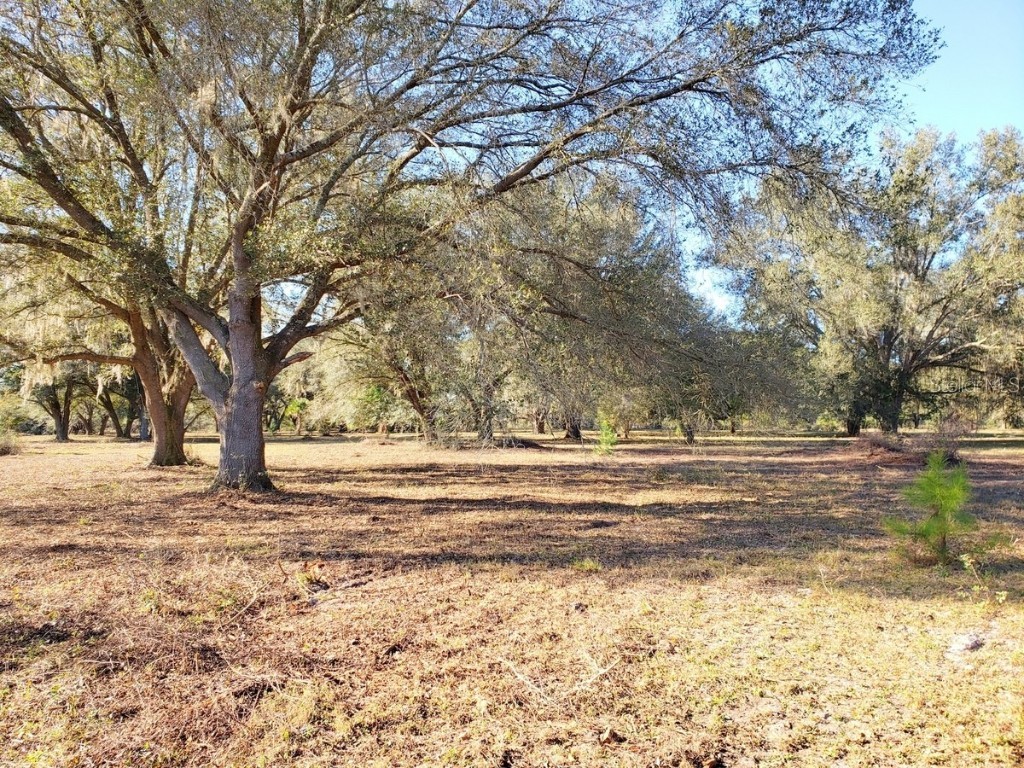 Hokkolen #5a NE Hwy 315 Fort Mc Coy FL 32134 - LAKE CLAIRE OM663511 image1