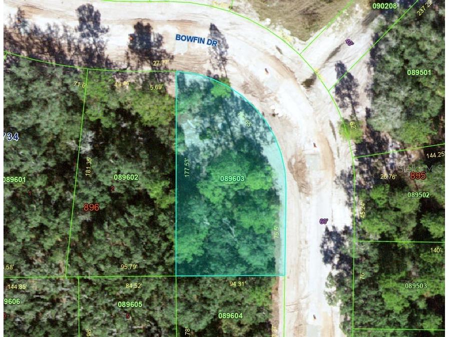 Inside Curve Bowfin Drive Poinciana FL 34759 S5149057 image2
