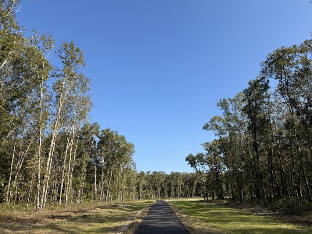 Irvine Acres #3 (10ac) W Hwy 318 Reddick FL 32686 OM715979 image1