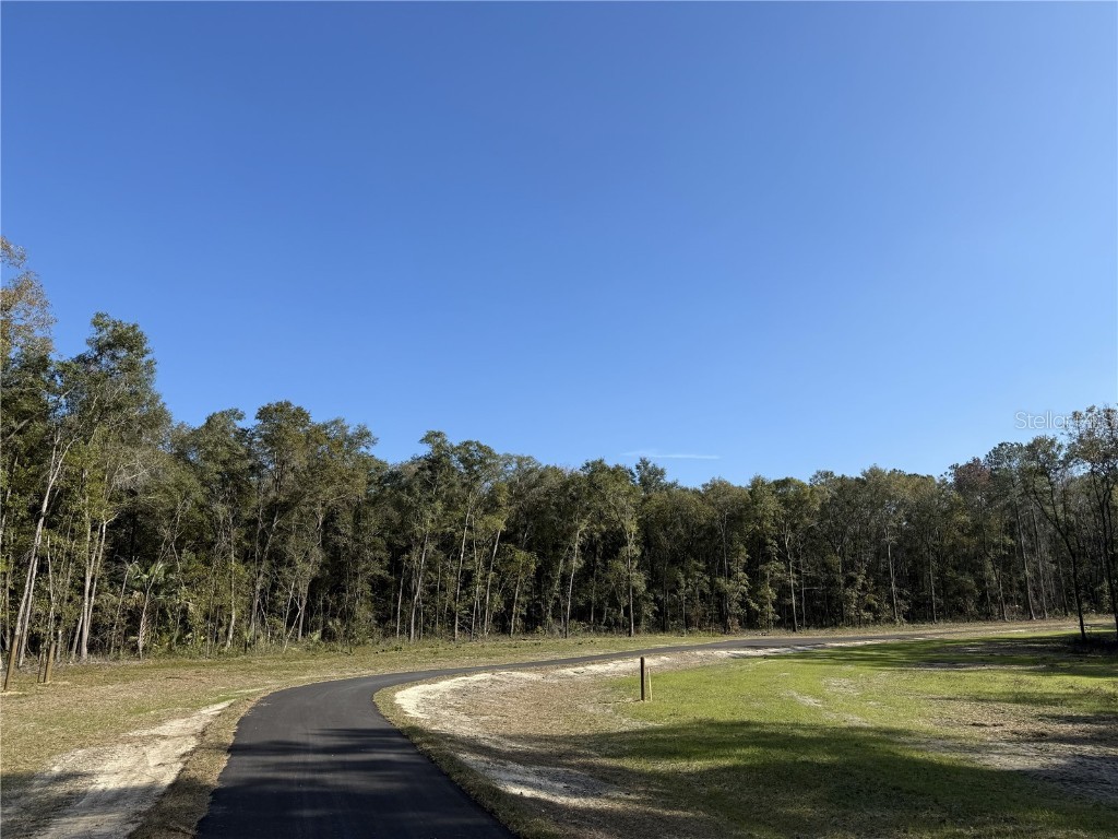 Irvine Acres #3 (10ac) W Hwy 318 Reddick FL 32686 OM715979 image10