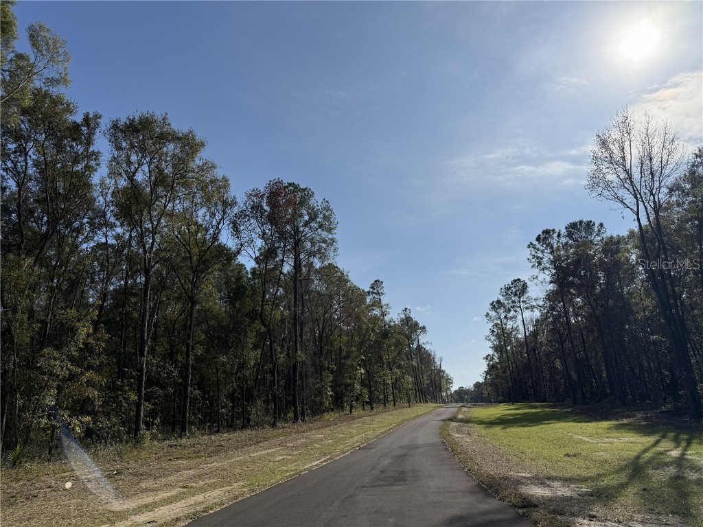 Irvine Acres #3 (10ac) W Hwy 318 Reddick FL 32686 OM715979 image11