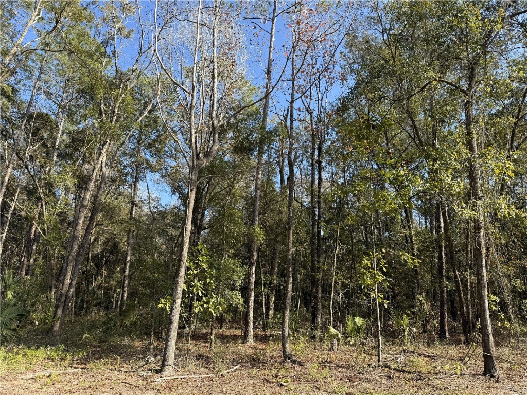 Irvine Acres #3 (10ac) W Hwy 318 Reddick FL 32686 OM715979 image12