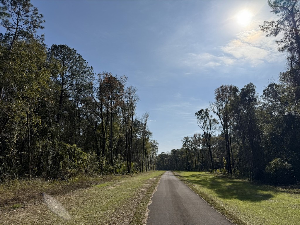 Irvine Acres #3 (10ac) W Hwy 318 Reddick FL 32686 OM715979 image13