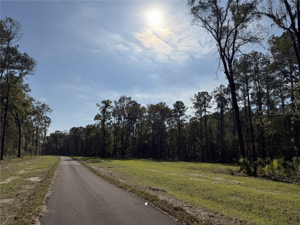 Irvine Acres #3 (10ac) W Hwy 318 Reddick FL 32686 OM715979 image14