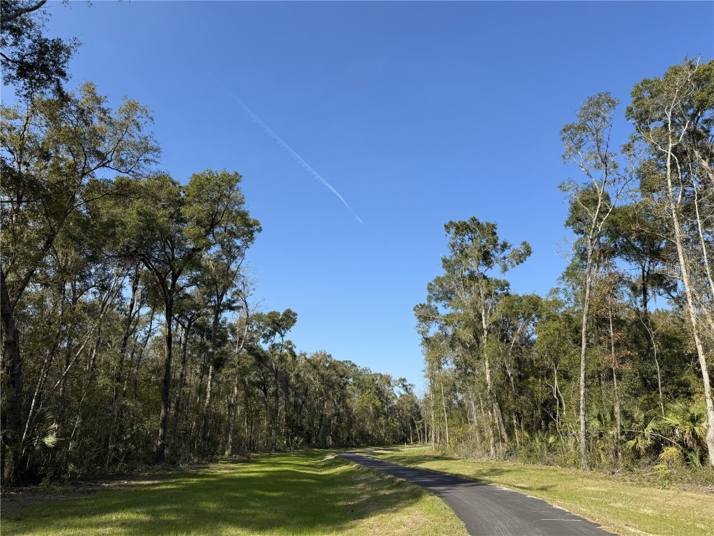 Irvine Acres #3 (10ac) W Hwy 318 Reddick FL 32686 OM715979 image15