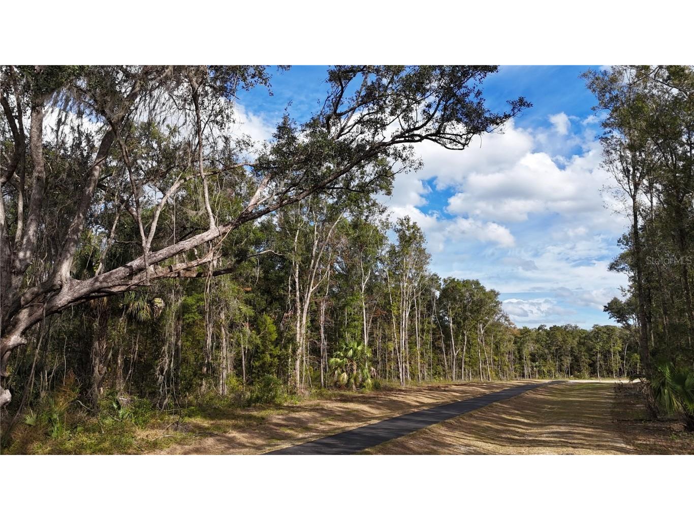 Irvine Acres #3 (10ac) W Hwy 318 Reddick FL 32686 OM715979 image2