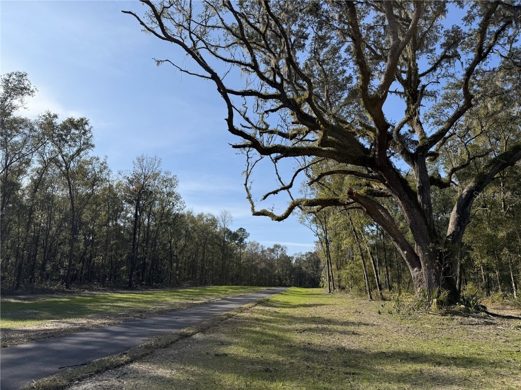 Irvine Acres #3 (10ac) W Hwy 318 Reddick FL 32686 OM715979 image3