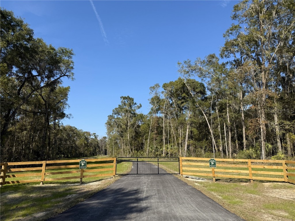 Irvine Acres #3 (10ac) W Hwy 318 Reddick FL 32686 OM715979 image4