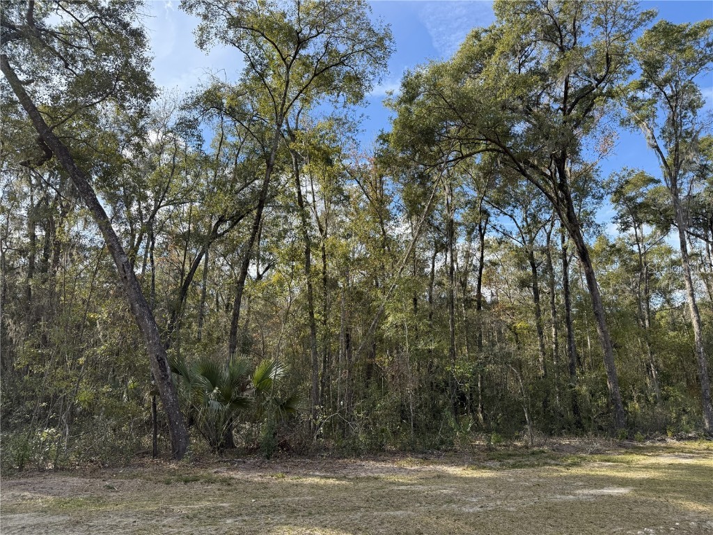 Irvine Acres #3 (10ac) W Hwy 318 Reddick FL 32686 OM715979 image5