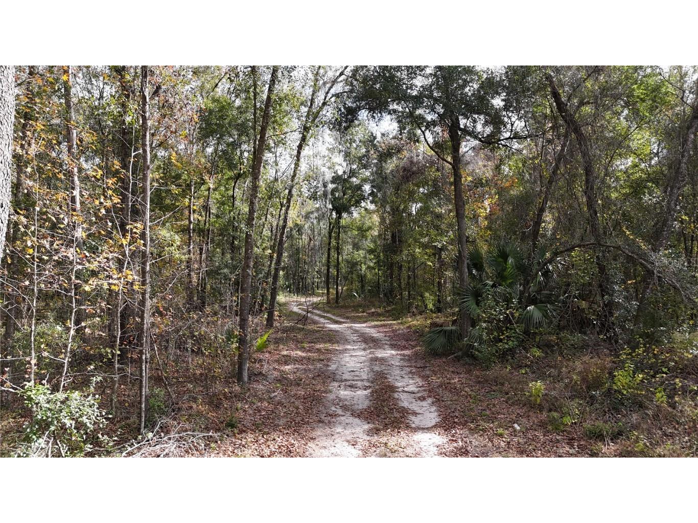 Irvine Acres #3 (10ac) W Hwy 318 Reddick FL 32686 OM715979 image6