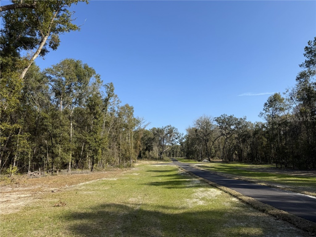 Irvine Acres #3 (10ac) W Hwy 318 Reddick FL 32686 OM715979 image7